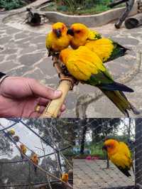 雲南野生動物園，萌趣大冒險