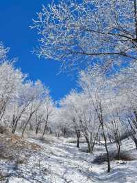 小長假去新疆北疆-烏魯木齊 你不可錯過的旅行攻略