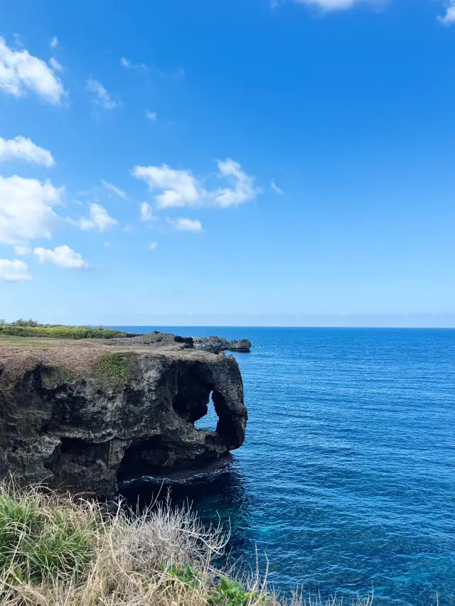 A 6-Day In-Depth Tour: Qingming Festival Is the Perfect Time to Visit Japan
