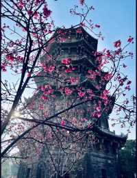 𝐐𝐮𝐚𝐧𝐙𝐡𝐨𝐮泉州｜「半城煙火半城仙」