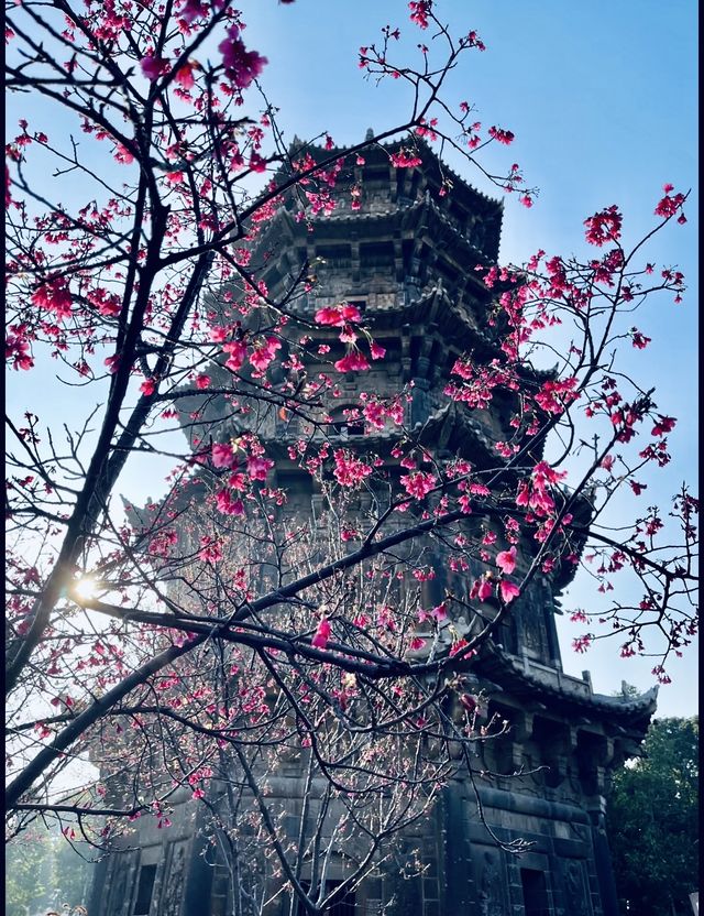 𝐐𝐮𝐚𝐧𝐙𝐡𝐨𝐮泉州｜「半城煙火半城仙」