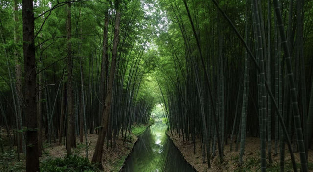 藏不住了，這個蘇州的寶藏公園還是被我找到了