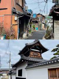 日本泉佐野
