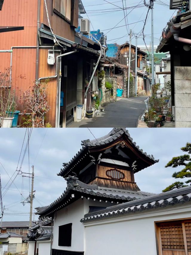 日本泉佐野