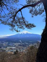 7日暢遊日本 超詳細攻略不踩坑