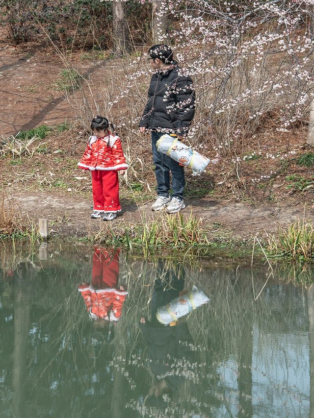 花開海上生態園
