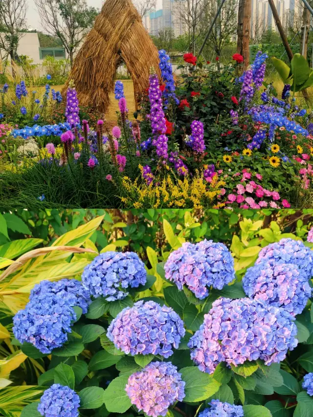 3.27 Real Shot! Bijia Mountain Park Will Reach a New Level of Beauty!