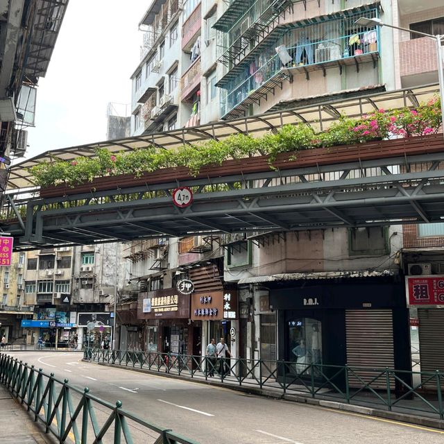 探秘澳門十月初五日街，邂逅舊城區的悠然時光✨