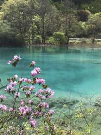 阿壩藏族羌族自治州4日遊 玩轉熱門風景