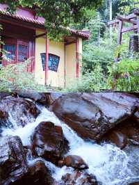 杭州旅遊｜天目山嘅深邃寧靜真係好寫意。