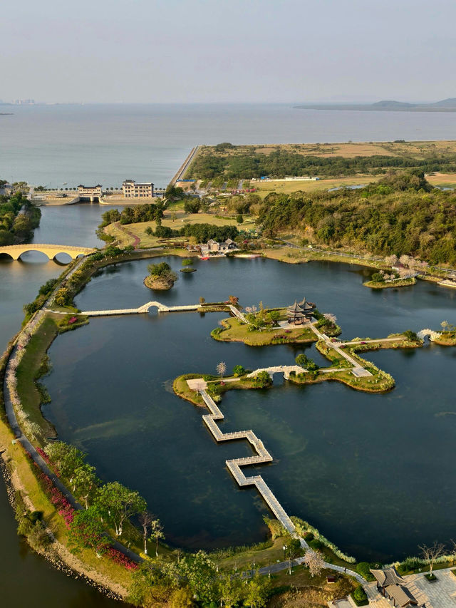 珠海中山公園：鬧市中的靜謐桃源