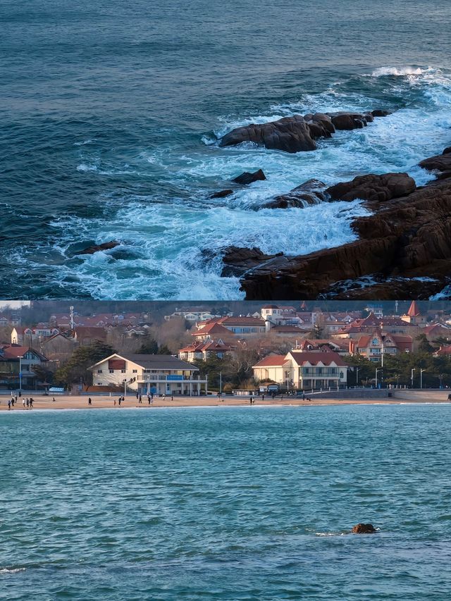 "青島遊：啤酒泡芙下，海鷗帶笑飛"