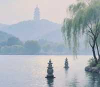 邂逅西湖：柳綠花繁間的浪漫踱步