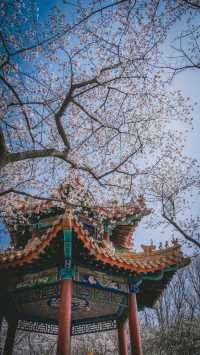 徐州旅遊必備攻略（超全）