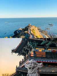 遼寧吸睛標題