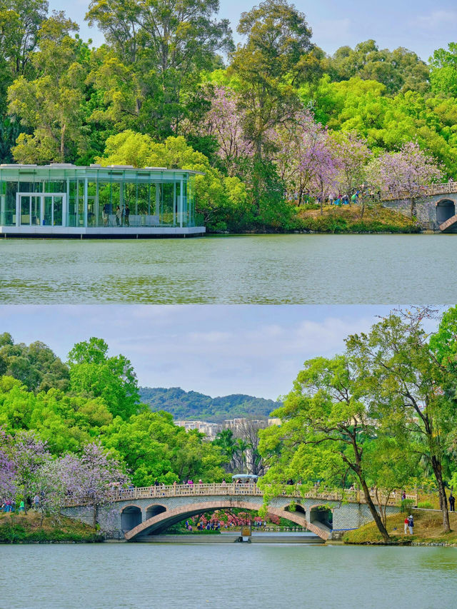 華南植物園：都市中的自然天堂