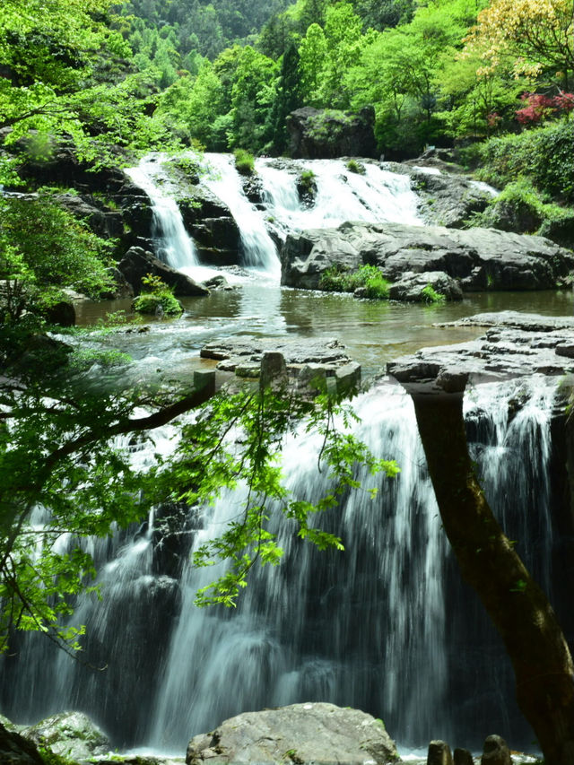 華東第一瀑｜百丈漈超震撼打卡攻略