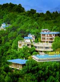 廣深自駕2h住進與蘭花共舞的隱世之地
