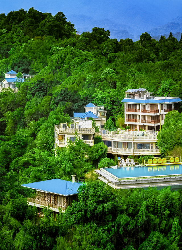 廣深自駕2h住進與蘭花共舞的隱世之地