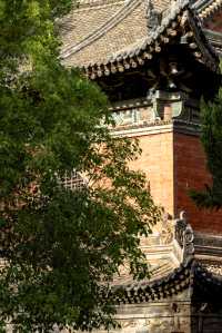 西安｜繡球花開大興善寺裡的春和景明