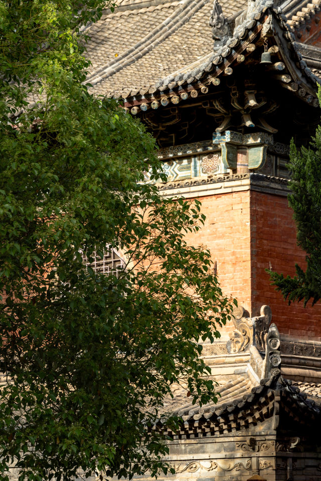西安｜繡球花開大興善寺裡的春和景明
