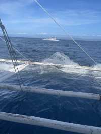 Beach Moments and ✨ Magical Whale Watching in Bohol, Philippines! 🌊