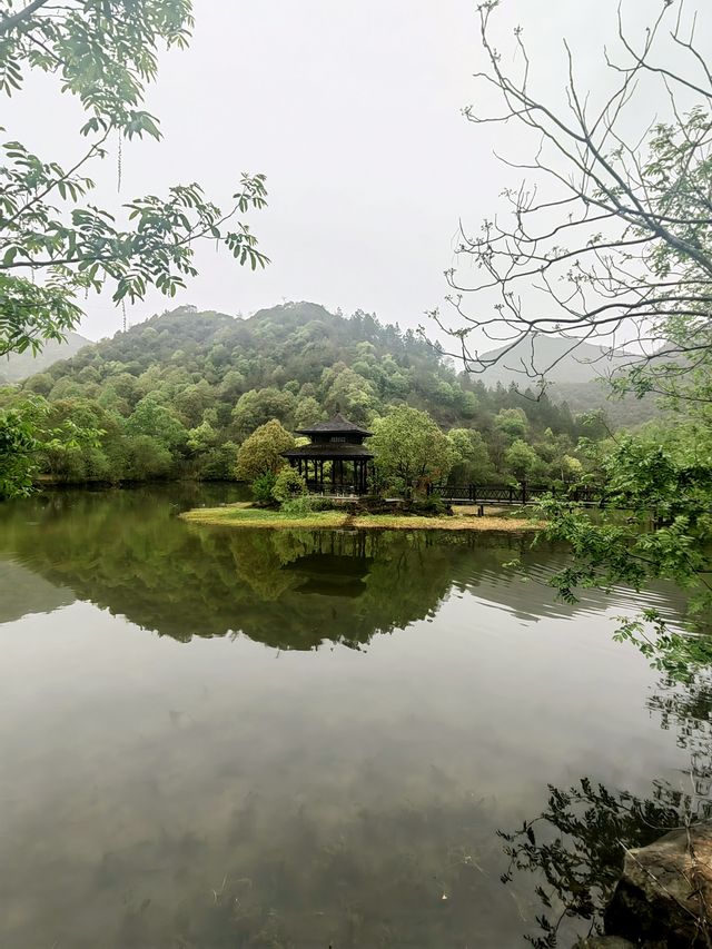 杭州新安綠道西溪畈，人少景美的世外桃源