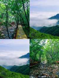 高鐵直達，適合窮遊嘅一個小眾城市