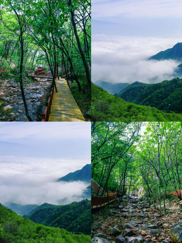高鐵直達，適合窮遊嘅一個小眾城市
