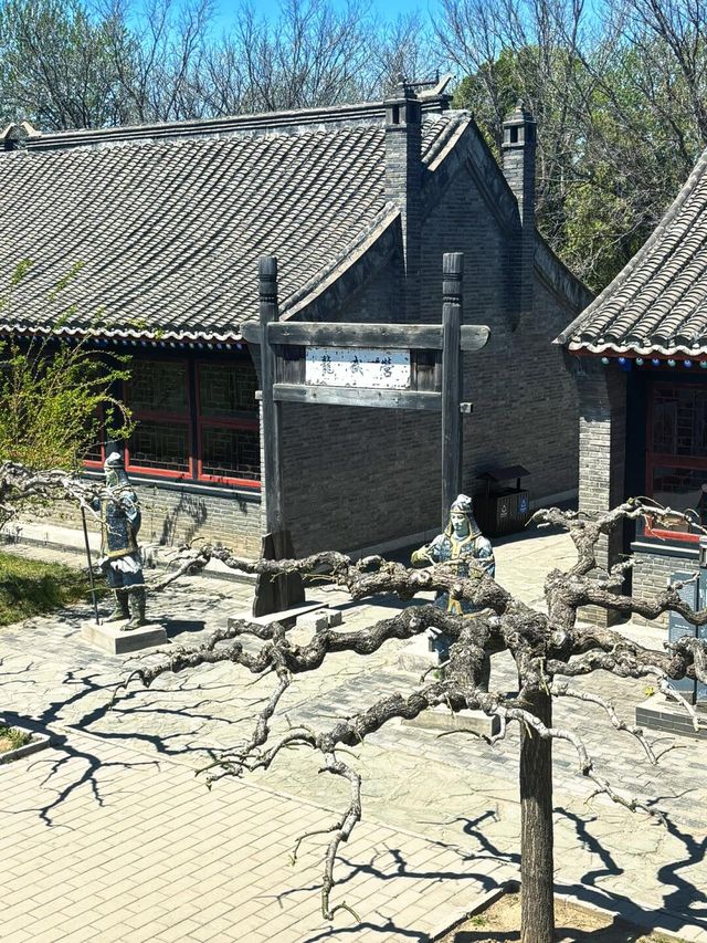 老龍頭超全遊玩攻略嚟啦！