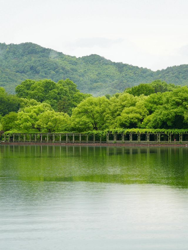 水墨烏鎮｜慢遊全攻略，住進江南的夢裡