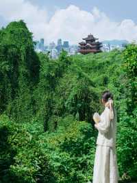 杭州｜建議感覺能量低嘅人都行吓呢條路線，正到爆