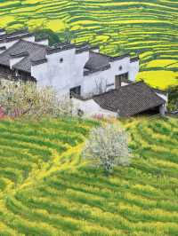 我確定：呢度係我去過最仙嘅地方～婺源篁嶺旅遊攻略