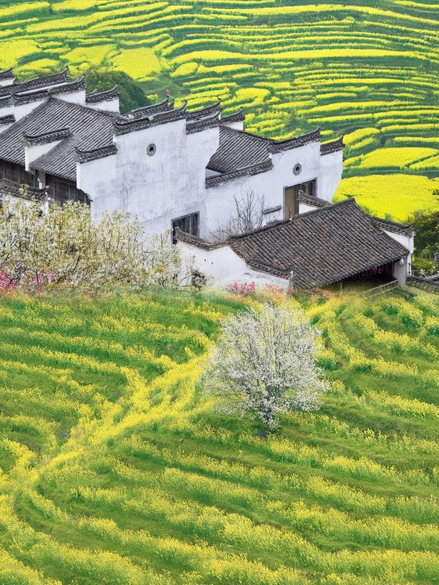 我確定：呢度係我去過最仙嘅地方～婺源篁嶺旅遊攻略