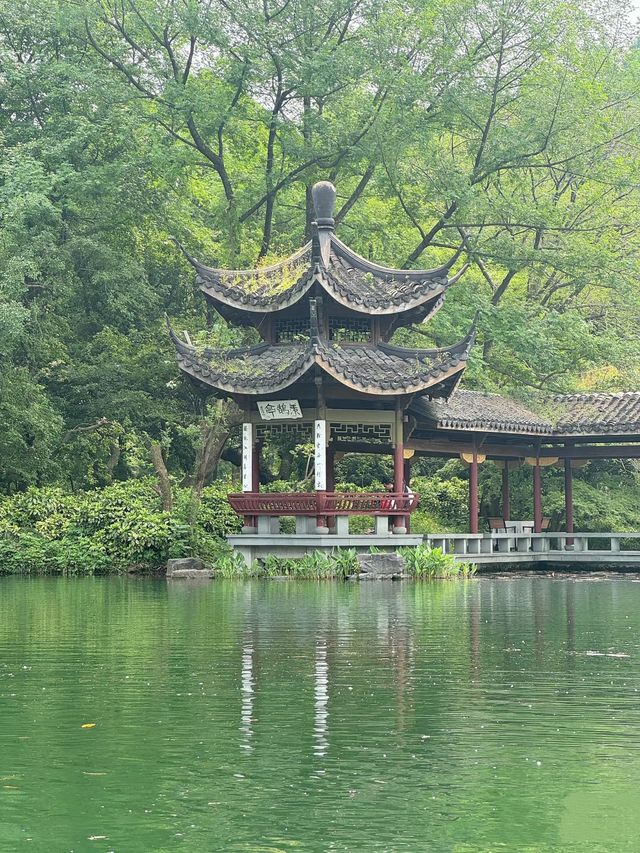 西湖隱秘的浪漫——手划船&搖櫓船