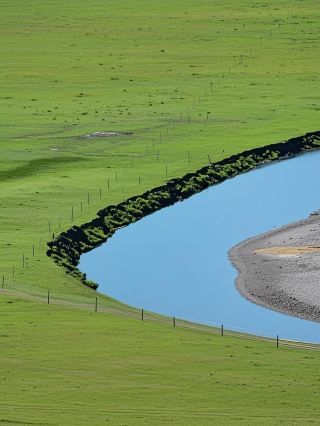 Took my kid to Hulunbuir! These 4 pitfalls made me want to stay and become a sheep on the grassland