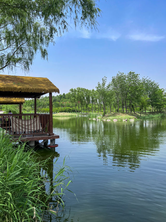 鄭州被嚴重低估嘅小眾公園！人少景靚