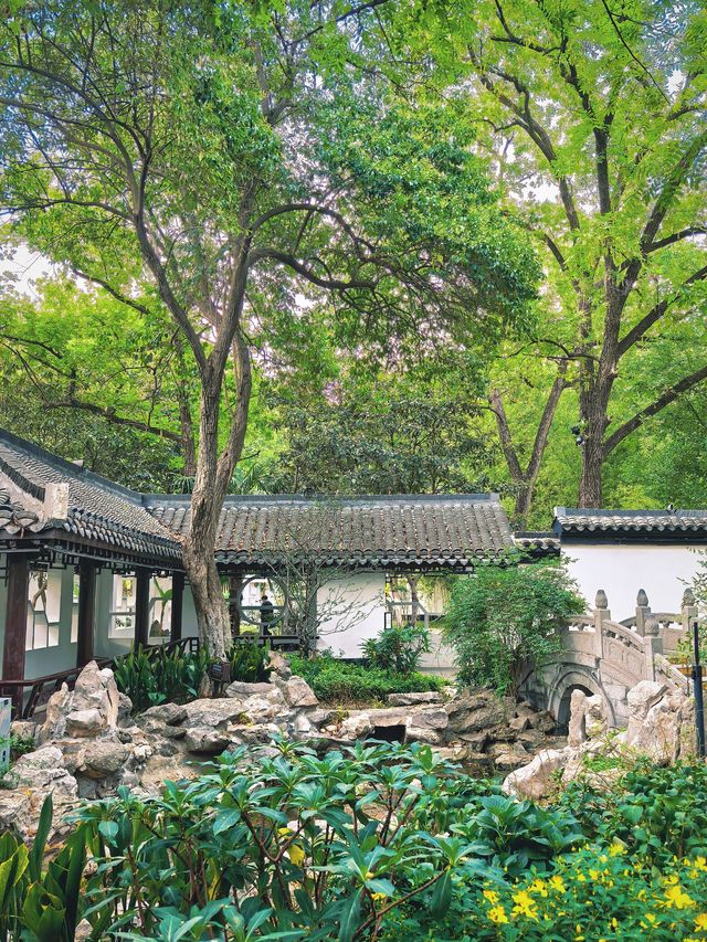 合肥隱世美學｜包公園浮莊裡的水墨秘境