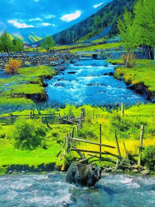 Listen to me! June to August is the must-go season for Western Sichuan, you'll regret missing it