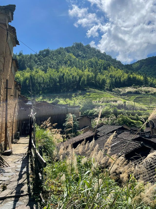 武夷山後源村｜秘境中的梯田古厝伴雲生