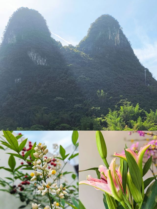 夏天奔赴陽朔，就為了住進遇山鄉舍