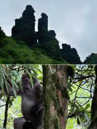 4 日梵淨山減壓之旅｜山水療癒