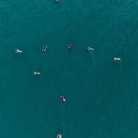 ⛵️【西貢海灣吹風!Hobie帆船賽靚到想落海】