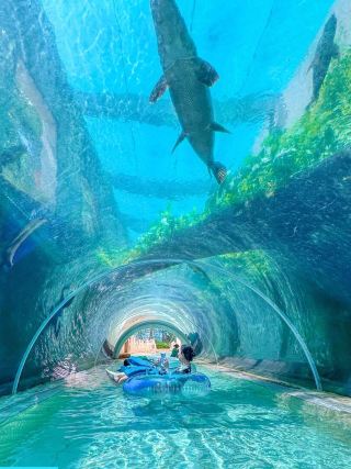 No to extreme tourism! Experience Singapore immersively like this