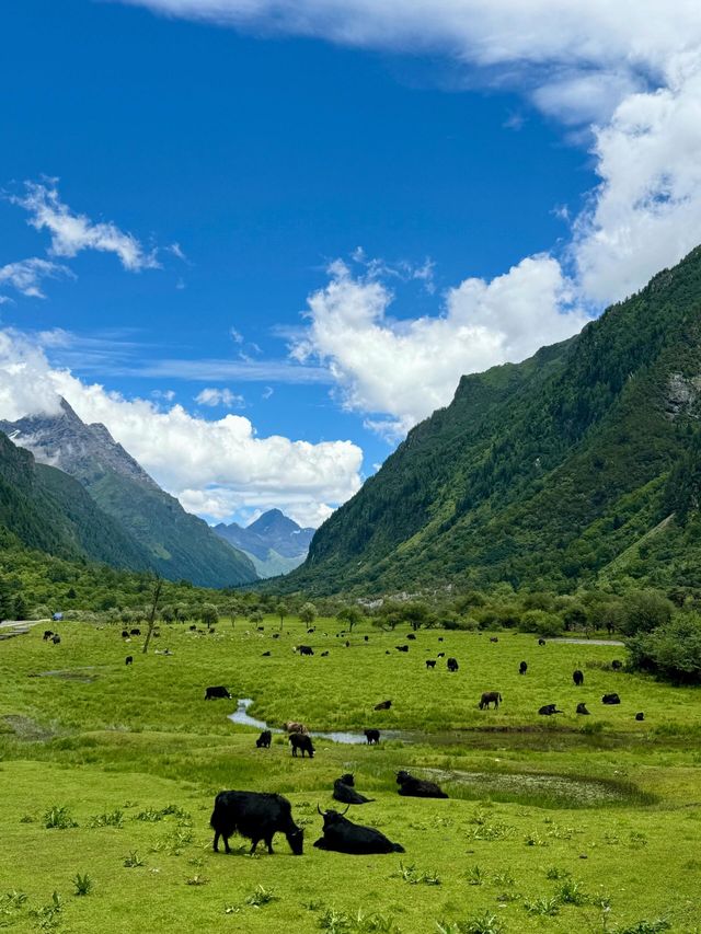 講真話可能難聽，但呢啲都係四姑娘山6-7月嘅真實情況