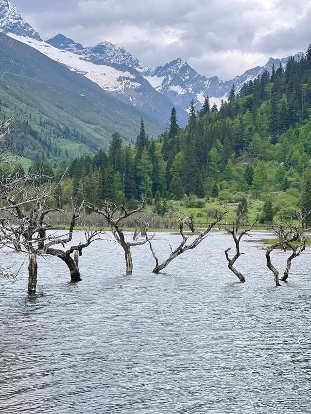 係咪覺得我喺阿爾卑斯山