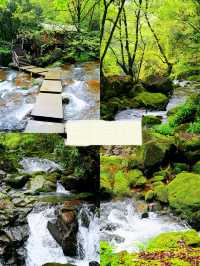 「浙江隱藏嘅『小廬山』！25℃嘅夏天真係正到爆！