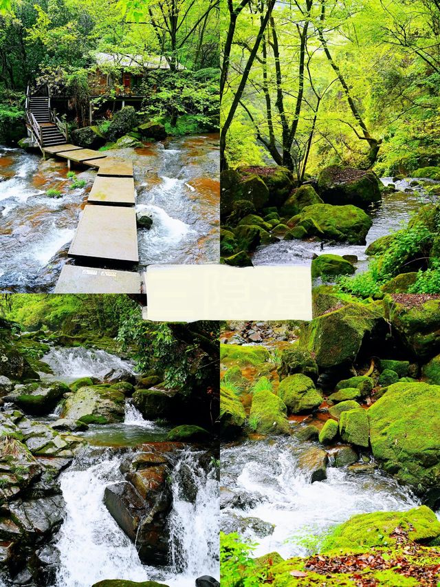 「浙江隱藏嘅『小廬山』！25℃嘅夏天真係正到爆！
