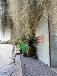 曼谷咖啡廳神級打卡｜Nature Cafe 承包湄南河森系慢生活☕️