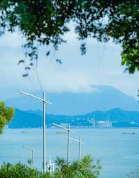 360度海景｜深圳睇海綠道最全徒步攻略